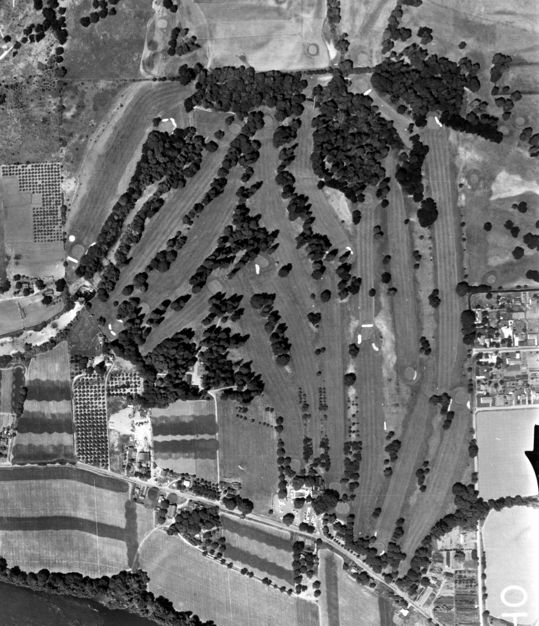 1955